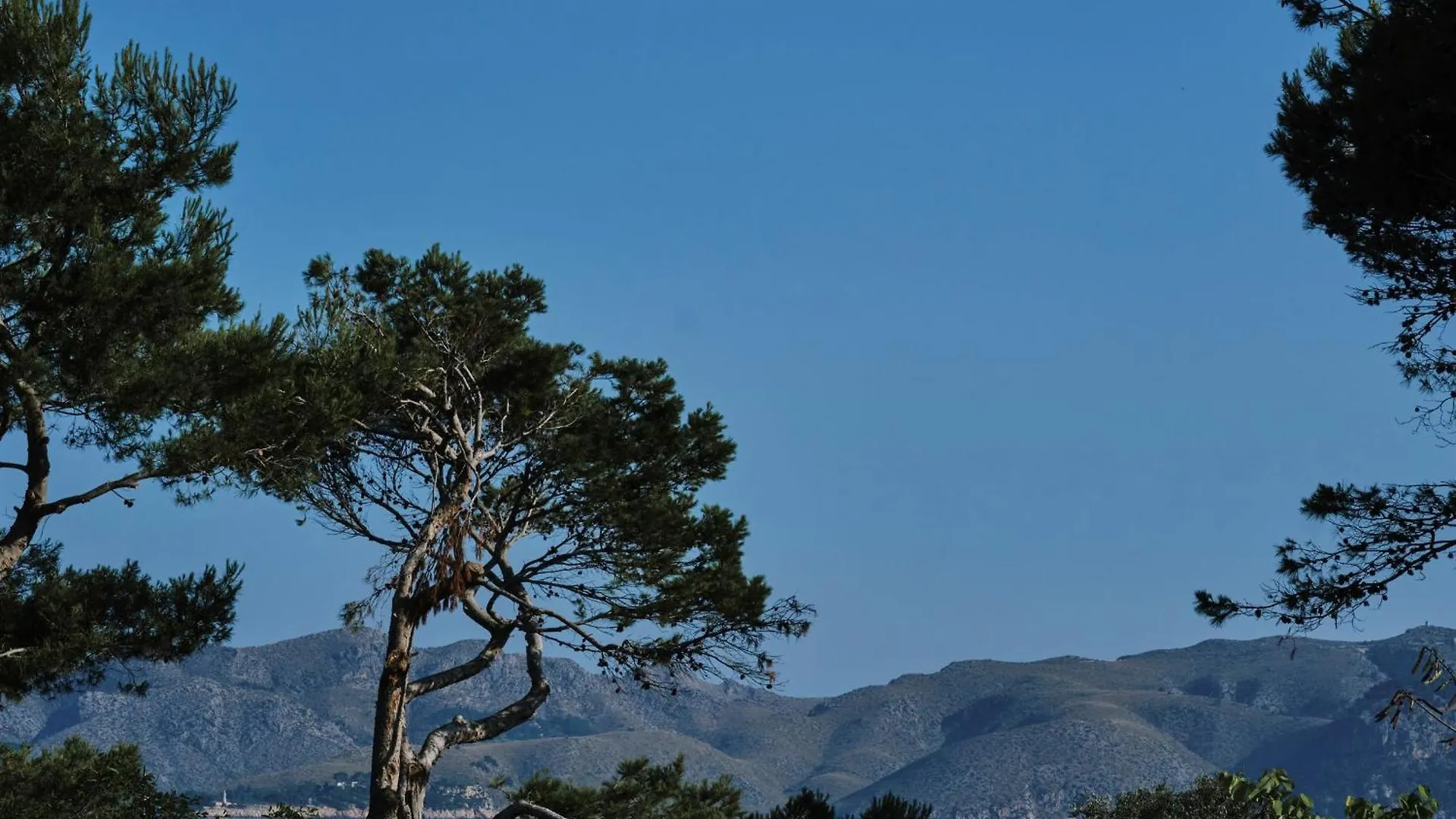 Prinsotel Mal Pas - Adults Only Alcudia
