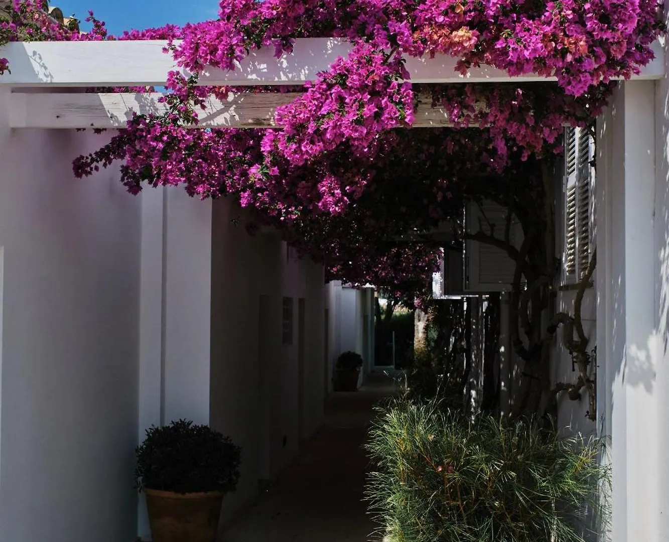 Prinsotel Mal Pas - Adults Only Alcudia  4*, Alcudia (Mallorca)