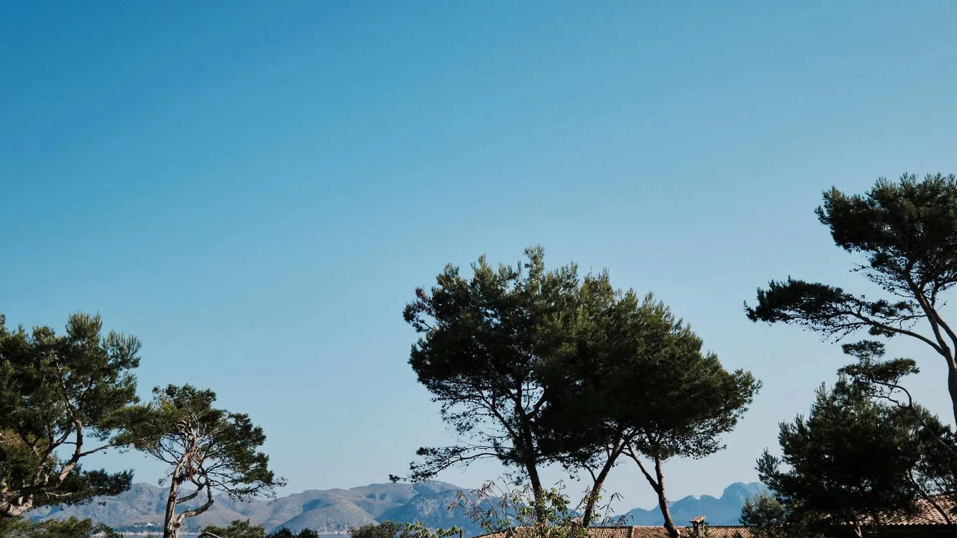 Hotel Prinsotel Mal Pas - Adults Only Alcudia